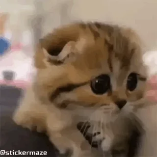 🥺