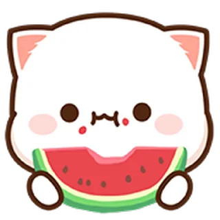 🍉