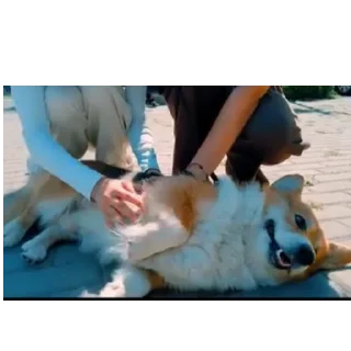 👍