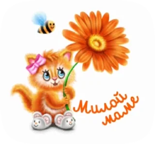 🌺