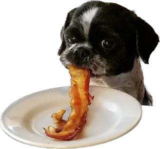🥓