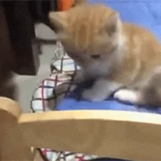 😊