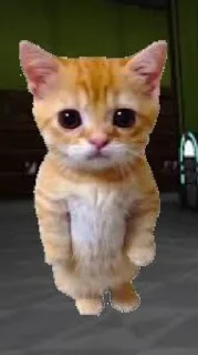 🤩