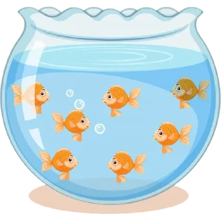 🐠
