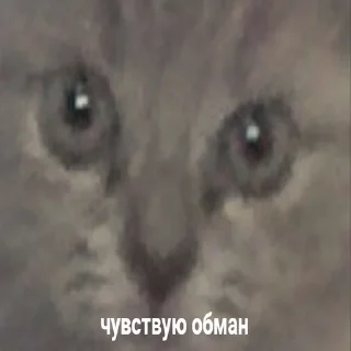 😑