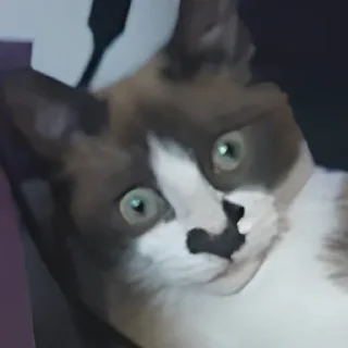 😧