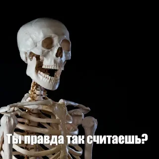Skeleton @stickersb2b