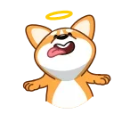 😇