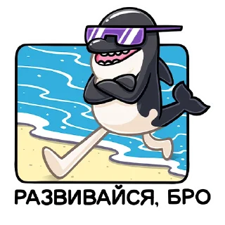 😎