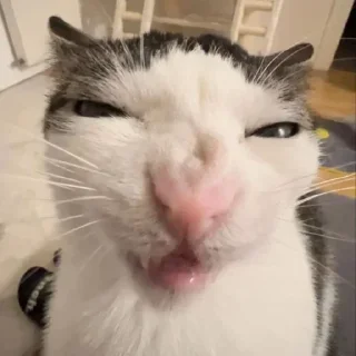 😡