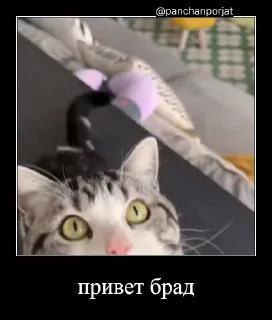 👋