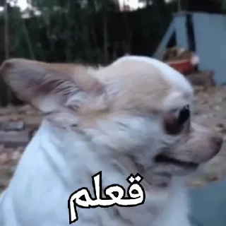 😒