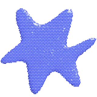 🌟
