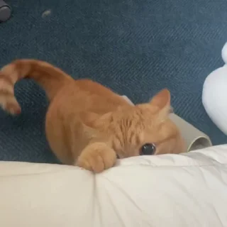 🥹