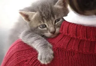 😌