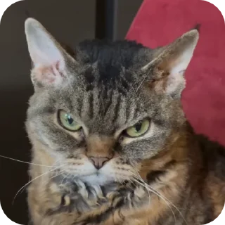 😠