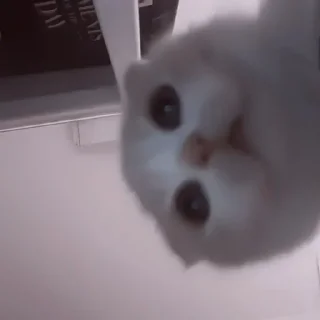 🥺