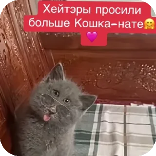 👍
