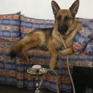 🚬