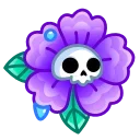 🌺