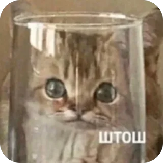 🫥