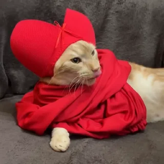 🤴