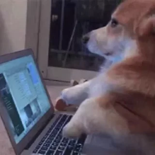 💻
