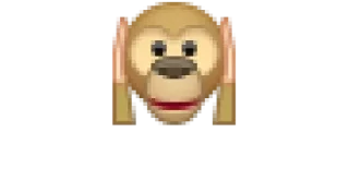 🙉