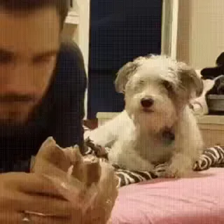 😁