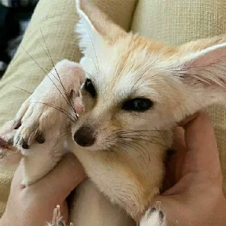 ☺️