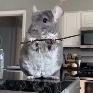 🥷
