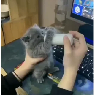 😋