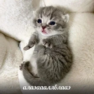 💗