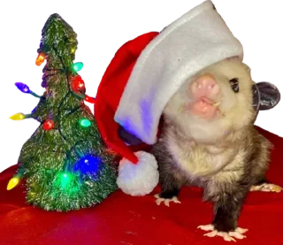 🎄