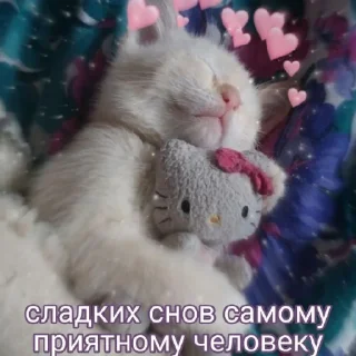 ❤️