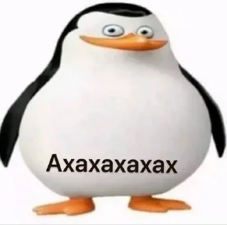 🤣