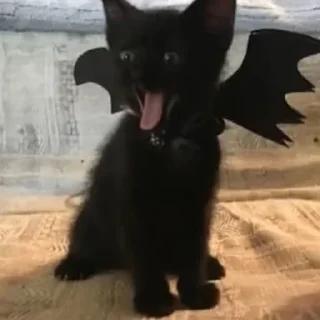 🦹‍♂