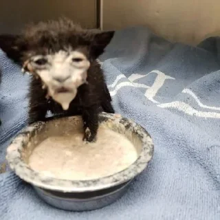 🍧