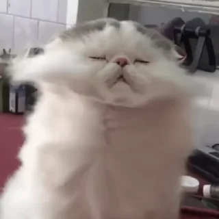 😮‍💨