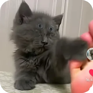 👍
