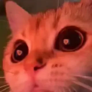 😉