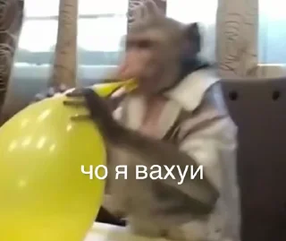 😱