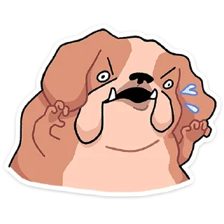 ⭐