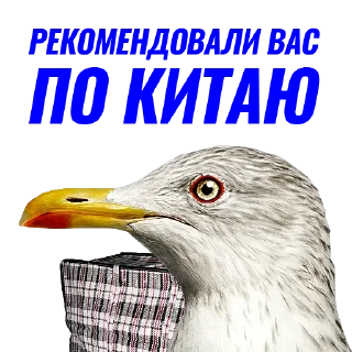 📌
