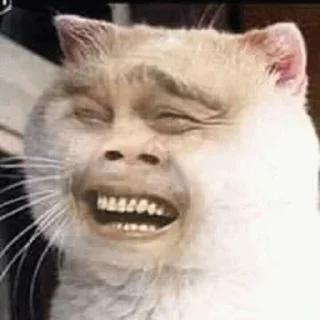😂