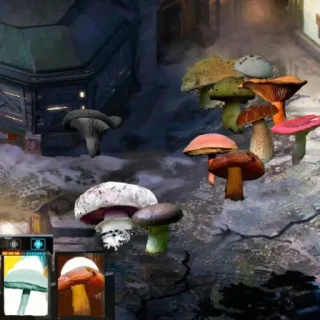 🍄