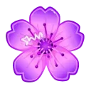 🌸