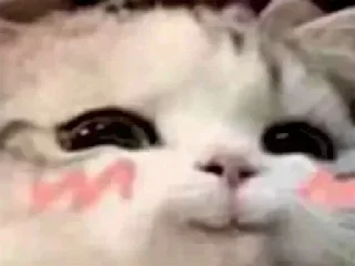 👀