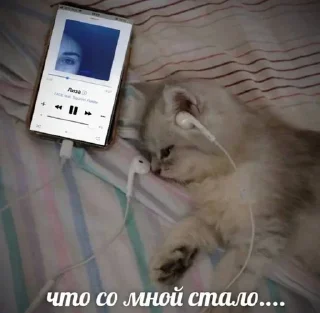 😭