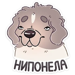 🐶